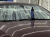 8f29290631d8b52c2b99c4af4adaf611.png