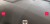 ac3a689a799d24d223e1215c123256fc.jpg